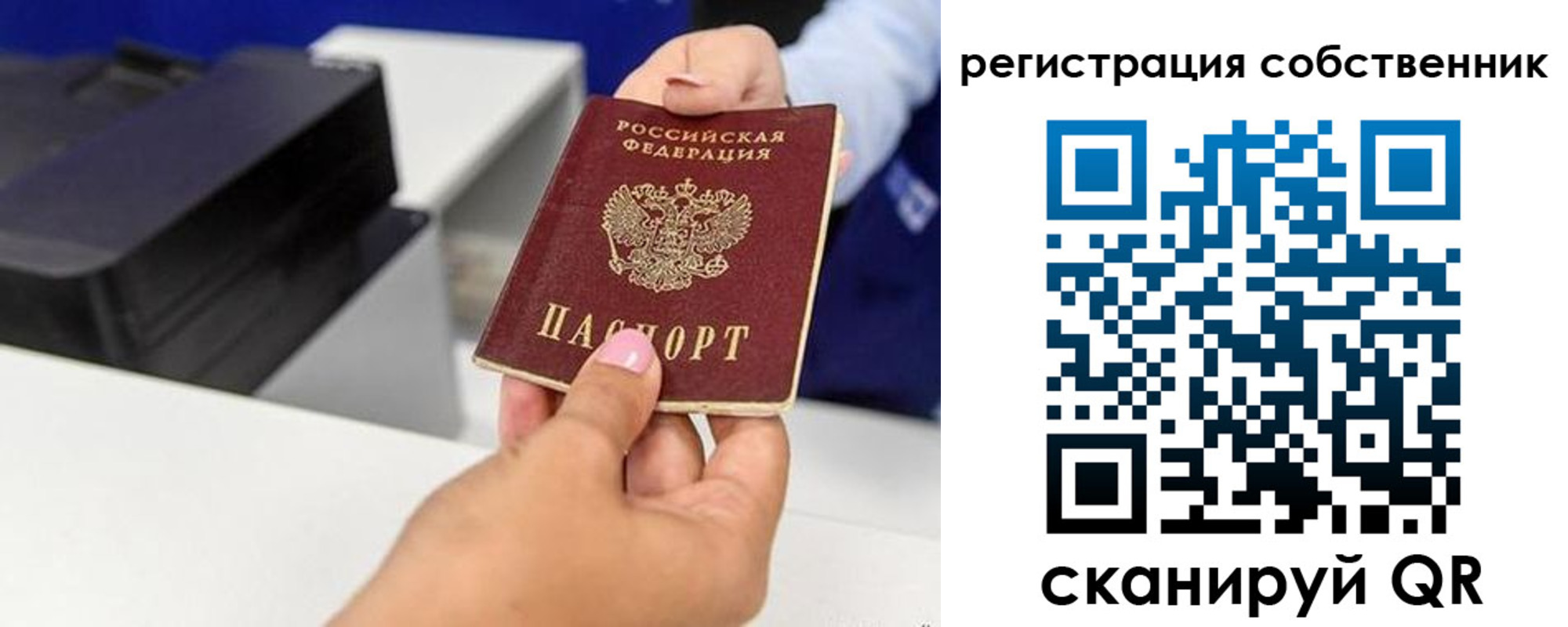 прописка для школы в Щучье
